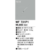 オーデリック WF731P1 シーリングファン 部材 延長パイプ 長300 オフホワイト