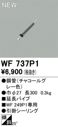 オーデリック WF737P1 シーリングファン 部材 延長パイプ 長300 チャコールグレー