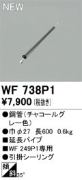 オーデリック WF738P1 シーリングファン 部材 延長パイプ 長600 チャコールグレー