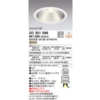 オーデリック　XD301096　ダウンライト 埋込穴φ300 電源装置・調光器・信号線別売 LED一体型 電球色 高天井用 防雨型 オフホワイト