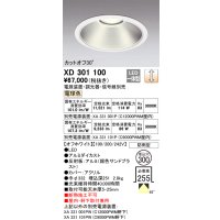 オーデリック　XD301100　ダウンライト 埋込穴φ300 電源装置・調光器・信号線別売 LED一体型 電球色 高天井用 防雨型 オフホワイト