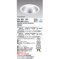 オーデリック　XD301101　ダウンライト 埋込穴φ250 電源装置・調光器・信号線別売 LED一体型 昼白色 高天井用 防雨型 オフホワイト