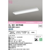 オーデリック　XL501057R4B(LED光源ユニット別梱)　ベースライト 非調光 LEDユニット交換型 昼白色 直付型