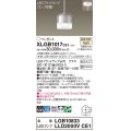 パナソニック　XLGB1017CE1　ペンダントライト 吊下型 LED(温白色) ガラスセードタイプ・拡散タイプ・直付タイプ 透明