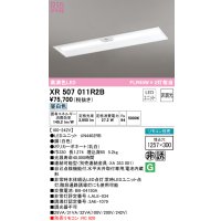 オーデリック　XR507011R2B(LED光源ユニット別梱)　ベースライト □1257×300 非調光 リモコン別売 LEDユニット交換型 昼白色 埋込型