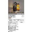 画像1: オーデリック OG254239LC1(ランプ別梱) エクステリア ポーチライト LEDランプ 電球色 防雨型 鉄色ラスティ (1)