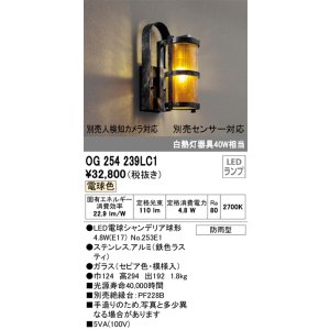 画像: オーデリック OG254239LC1(ランプ別梱) エクステリア ポーチライト LEDランプ 電球色 防雨型 鉄色ラスティ