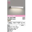 画像1: オーデリック　OG254875R　エクステリア 表札灯 LED一体型 電球色 下面配光 防雨型 マットシルバー (1)