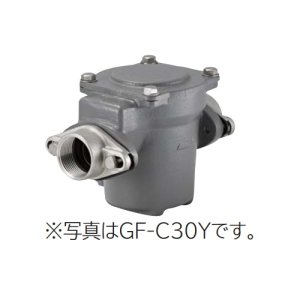 画像: 日立 ポンプ　GF-C30Y　砂こし器 配管口径30mm 鋳鉄製 ※GF-C30X後継品