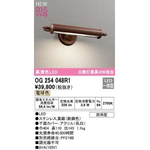 画像: オーデリック　OG254048R1　エクステリア 表札灯 LED一体型 電球色 防雨型 鉄錆色