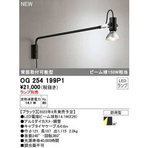 画像: オーデリック　OG254199P1　エクステリア スポットライト ランプ別売 LEDランプ 防雨型 ブラック