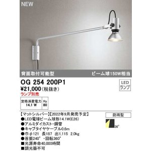 画像: オーデリック　OG254200P1　エクステリア スポットライト ランプ別売 LEDランプ 防雨型 マットシルバー