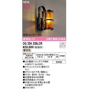 画像: オーデリック　OG254239LCR(ランプ別梱)　エクステリア ポーチライト LEDランプ 電球色 別売センサー対応 防雨型 鉄色ラスティ