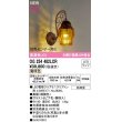 画像1: オーデリック　OG254482LCR(ランプ別梱)　エクステリア ポーチライト LEDランプ 電球色 別売センサー対応 防雨型 鉄錆色 (1)