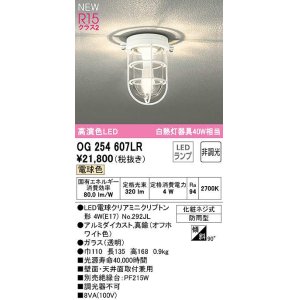 画像: オーデリック　OG254607LR(ランプ別梱)　ブラケットライト 非調光 LEDランプ 電球色 防雨型 オフホワイト