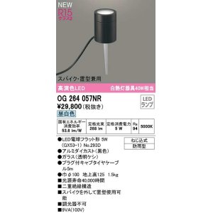 画像: オーデリック　OG264057NR(ランプ別梱)　エクステリア ガーデンライト LEDランプ 昼白色 スパイク・置型兼用 防雨型 黒色