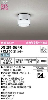 画像: オーデリック　OG264059NR(ランプ別梱)　エクステリア ポーチライト LEDランプ 昼白色 防雨型 マットシルバー