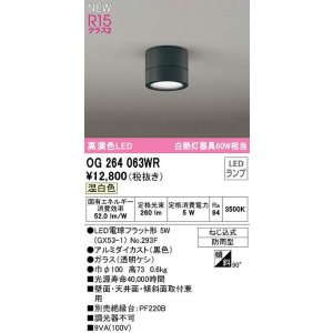 画像: オーデリック　OG264063WR(ランプ別梱)　エクステリア ポーチライト LEDランプ 温白色 防雨型 黒色