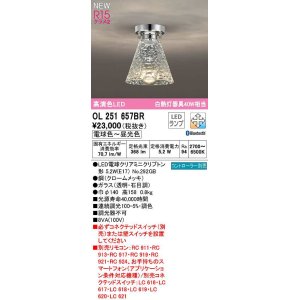 画像: オーデリック　OL251657BR(ランプ別梱)　シーリングライト 調光 調色 Bluetooth コントローラー別売 LEDランプ 電球色〜昼光色
