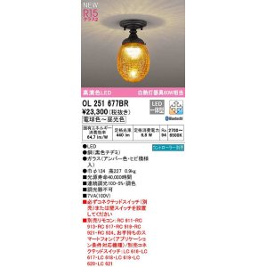 画像: オーデリック　OL251677BR　シーリングライト 調光 調色 Bluetooth コントローラー別売 LED一体型 電球色〜昼光色 黒色チヂミ
