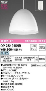 画像: オーデリック　OP252915NR(ランプ別梱)　ペンダントライト 非調光 LEDランプ 昼白色 フレンジタイプ 白色