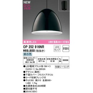 画像: オーデリック　OP252916NR(ランプ別梱)　ペンダントライト 非調光 LEDランプ 昼白色 フレンジタイプ 黒色