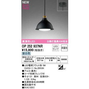 画像: オーデリック　OP252937NR(ランプ別梱)　ペンダントライト 非調光 LEDランプ 昼白色 フレンジタイプ 黒色