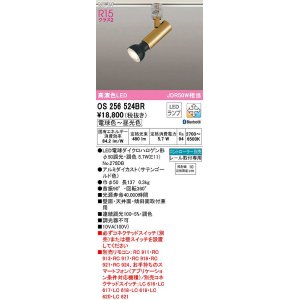 画像: オーデリック　OS256524BR(ランプ別梱)　スポットライト 調光 調色 Bluetooth コントローラー別売 LEDランプ 電球色〜昼光色 レール取付専用 サテンゴールド