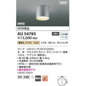 画像: コイズミ照明 AU54785 シーリング 非調光 LED 電球色 密閉型 防雨・防湿型 サテンシルバー