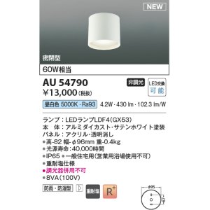 画像: コイズミ照明 AU54790 シーリング 非調光 LED 昼白色 密閉型 防雨・防湿型 サテンホワイト