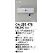 画像1: オーデリック OA253478 センサ ベース型人検知カメラ 壁面取付専用 防雨型 マットシルバー (1)