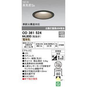 画像: オーデリック OD361524 エクステリア ダウンライト 埋込穴φ100 LED一体型 電球色 高気密SB 軒下取付専用 防雨型 ブラック