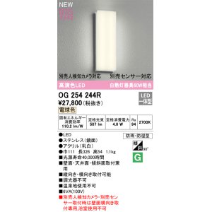 画像: オーデリック OG254244R エクステリア ポーチライト LED一体型 電球色 高演色LED 防雨・防湿型