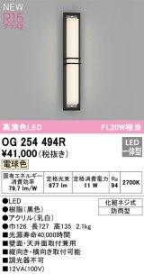 画像: オーデリック OG254494R エクステリア ポーチライト LED一体型 電球色 高演色LED 防雨型 黒色