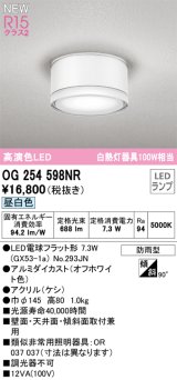 画像: オーデリック OG254598NR(ランプ別梱) エクステリア ポーチライト LEDランプ 昼白色 高演色LED 防雨型 オフホワイト