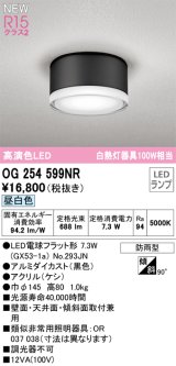 画像: オーデリック OG254599NR(ランプ別梱) エクステリア ポーチライト LEDランプ 昼白色 高演色LED 防雨型 黒色