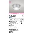 画像1: オーデリック OG254600NR(ランプ別梱) エクステリア ポーチライト LEDランプ 昼白色 高演色LED 防雨型 マットシルバー (1)