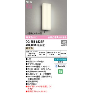 画像: オーデリック OG254833BR エクステリア ポーチライト Bluetooth タブレット別売 LED一体型 電球色 高演色LED 人感センサー付 防雨型 シルバー