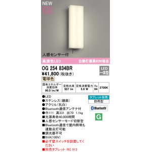 画像: オーデリック OG254834BR エクステリア ポーチライト Bluetooth タブレット別売 LED一体型 電球色 高演色LED 人感センサー付 防雨型