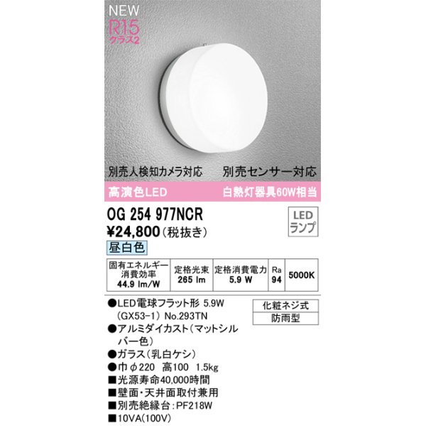 画像1: オーデリック OG254977NCR(ランプ別梱) エクステリア ポーチライト LEDランプ 昼白色 高演色LED 防雨型 マットシルバー (1)