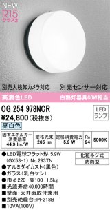 画像: オーデリック OG254978NCR(ランプ別梱) エクステリア ポーチライト LEDランプ 昼白色 高演色LED 防雨型 黒色