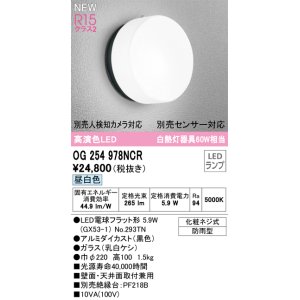 画像: オーデリック OG254978NCR(ランプ別梱) エクステリア ポーチライト LEDランプ 昼白色 高演色LED 防雨型 黒色