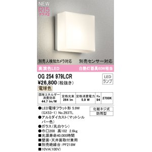 画像: オーデリック OG254979LCR(ランプ別梱) エクステリア ポーチライト LEDランプ 電球色 高演色LED 防雨型 マットシルバー
