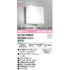 画像: オーデリック OG254979NCR(ランプ別梱) エクステリア ポーチライト LEDランプ 昼白色 高演色LED 防雨型 マットシルバー