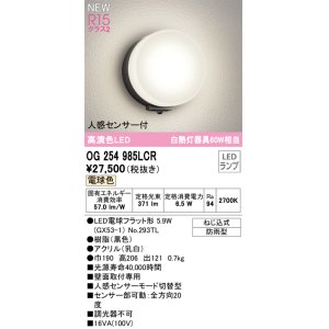 画像: オーデリック OG254985LCR(ランプ別梱) エクステリア ポーチライト LEDランプ 電球色 高演色LED 人感センサー付 防雨型 黒色
