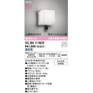 画像: オーデリック OG264111NCR(ランプ別梱) エクステリア ポーチライト LEDランプ 昼白色 高演色LED 人検知カメラ付 防水パッキンレス型 防雨型 マットシルバー