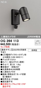 画像: オーデリック OG264113 エクステリア スポットライト ランプ別売 LEDランプ 人検知カメラ付 防雨型 黒色サテン