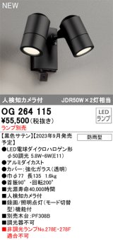 画像: [納期未定]オーデリック OG264115 エクステリア スポットライト ランプ別売 LEDランプ 人検知カメラ付 防雨型 黒色サテン