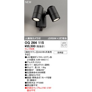 画像: オーデリック OG264115 エクステリア スポットライト ランプ別売 LEDランプ 人検知カメラ付 防雨型 黒色サテン