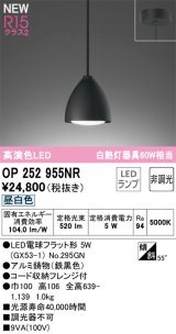 画像: オーデリック OP252955NR(ランプ別梱) ペンダントライト 非調光 LEDランプ 昼白色 高演色LED フレンジタイプ 鉄黒色